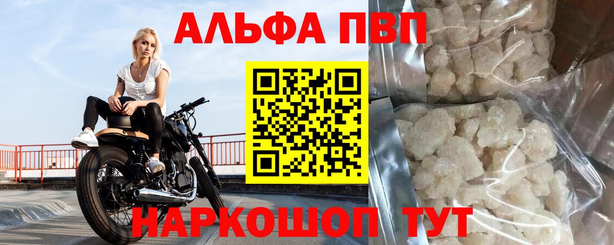 Альфа ПВП СК Краснодар