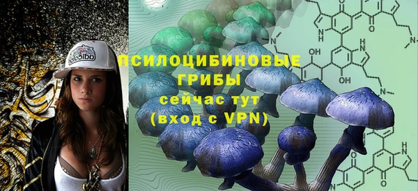 меф Дегтярск