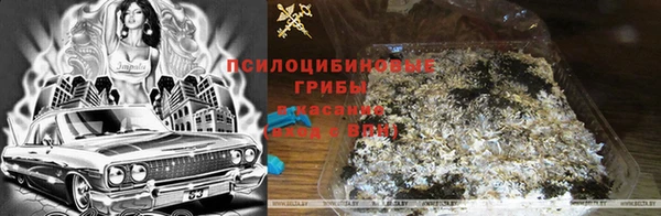 наркотики Абаза